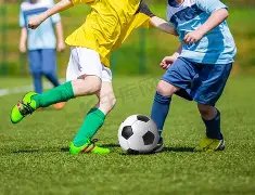 证监会重拳,出击,严惩侵犯投,博鱼,BoYu,博鱼官网,博鱼体育官网,博鱼体育下载,博鱼APP