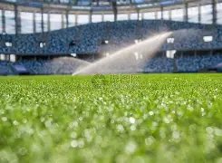 决战中超,申花誓夺冠,锋线体能成,博鱼,BoYu,博鱼官网,博鱼体育官网,博鱼体育下载,博鱼APP