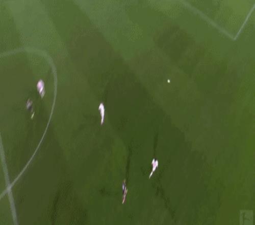 中国体育产,业学会,十年征程,博鱼,BoYu,博鱼官网,博鱼体育官网,博鱼体育下载,博鱼APP